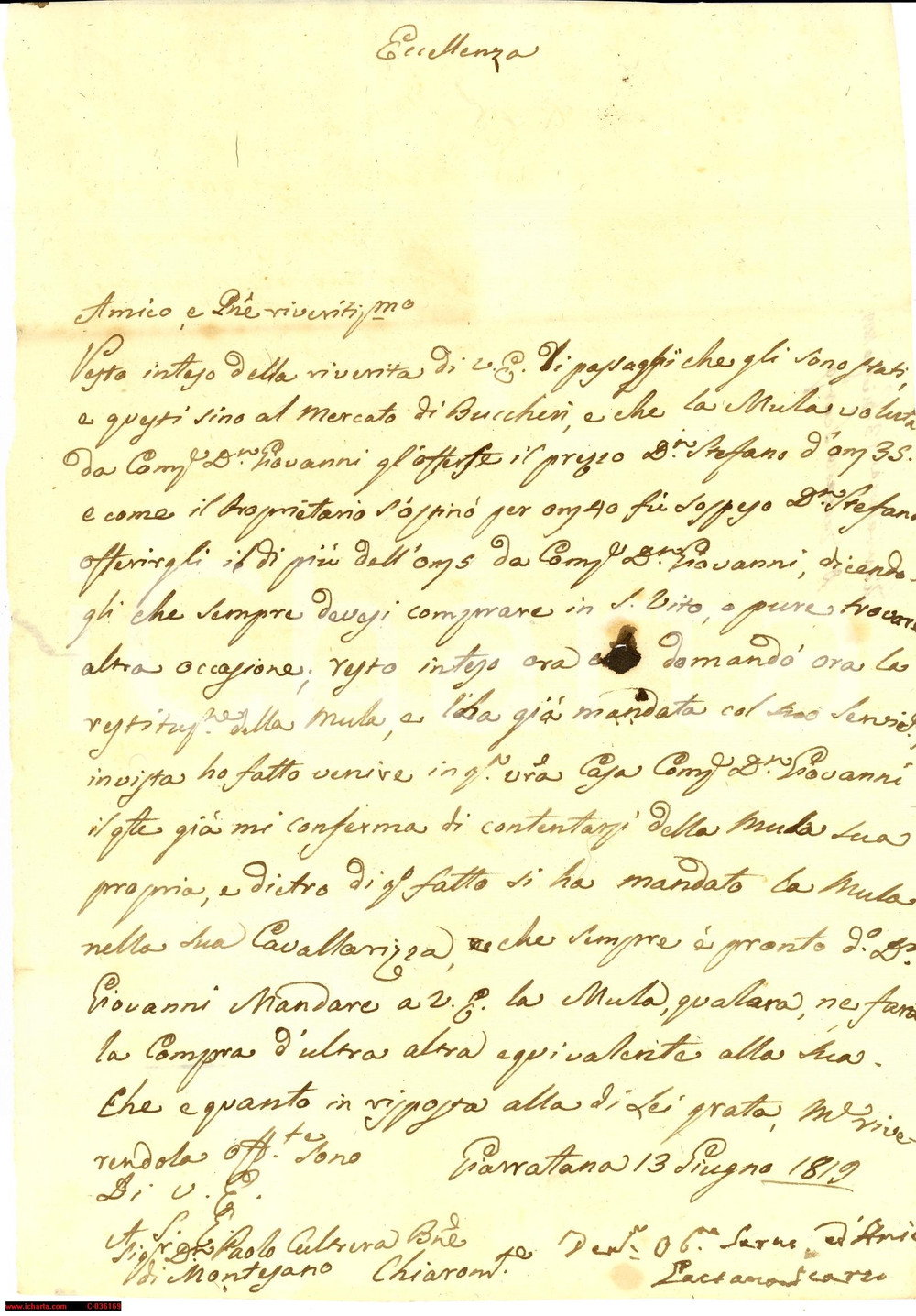 Manoscritto, lettera originale 1819 BUCCHERI SR Ostinato padrone di mula troppo cara 1