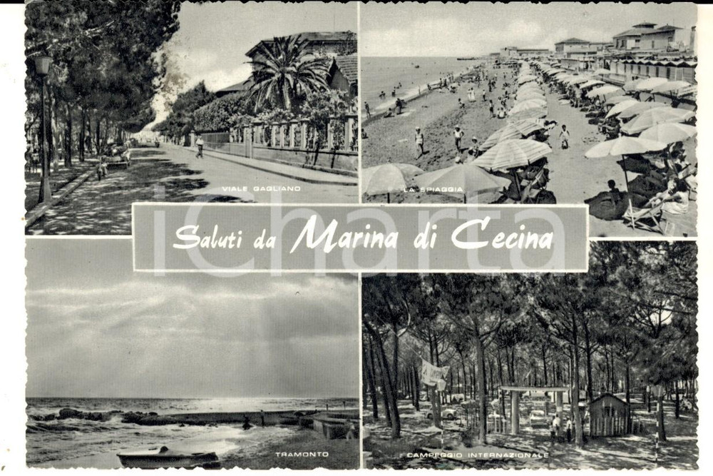 Cartolina originale da collezione 1959 MARINA DI CECINA LI Vedutine con campeggio e viale GALLIANO Cartolina FG 1