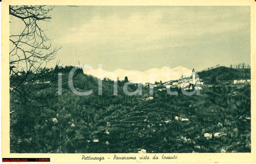 Cartolina originale da collezione Pettinengo anni  30  Panorama abitato con campanile NV 1