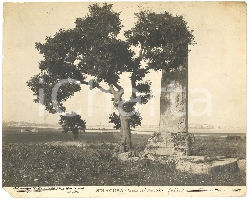 Fotografia d'epoca originale 1937 SIRACUSA Rovine dell'OLYMPIEION accanto ad alberi 1