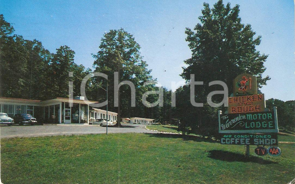 Cartolina originale da collezione 1955 WARRENTON  VIRGINIA USA Warrenton Motor Lodge Cartolina VINTAGE 1