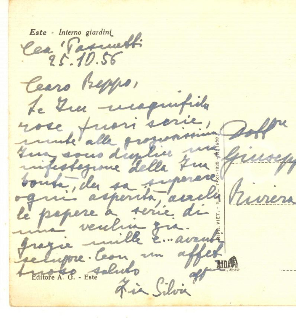 1956 ESTE Cartolina Silvia RODELLA scrittrice - Interno giardini - AUTOGRAFO Cartolina postale d'epoca, autografa della scrittrice padovana Silvia Rodella, viaggiata. FAIR/discreto piccole piegature angolari Formato: 15x10 cm originale e autentica 1