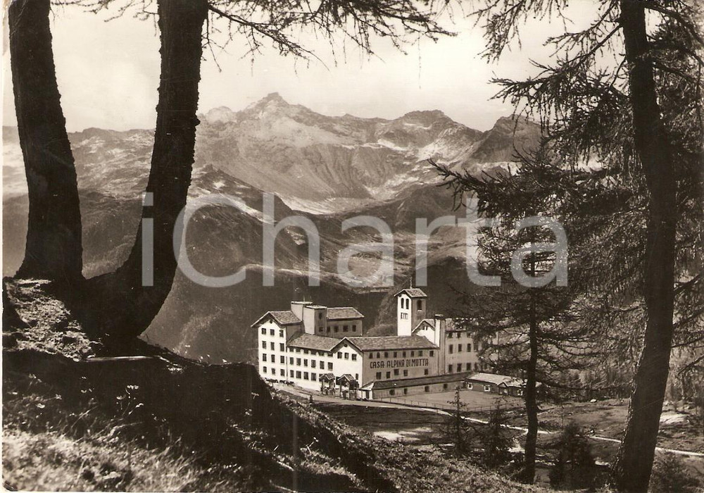 Cartolina originale da collezione 1959 CAMPODOLCINO (SO) Casa Alpina di MOTTA *Cartolina FG VG 1
