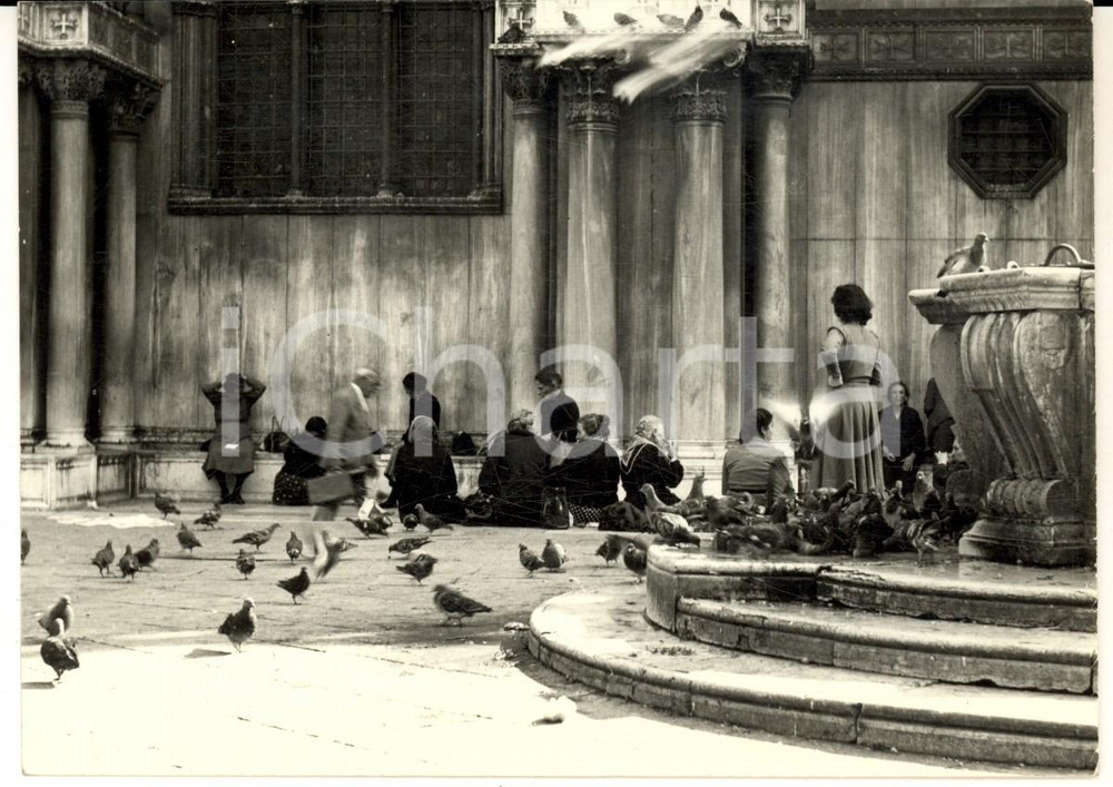 Fotografia d epoca originale 1957 VENEZIA Anziane donne tra i piccioni Fotografia ARTISTICA 15x10 cm 1