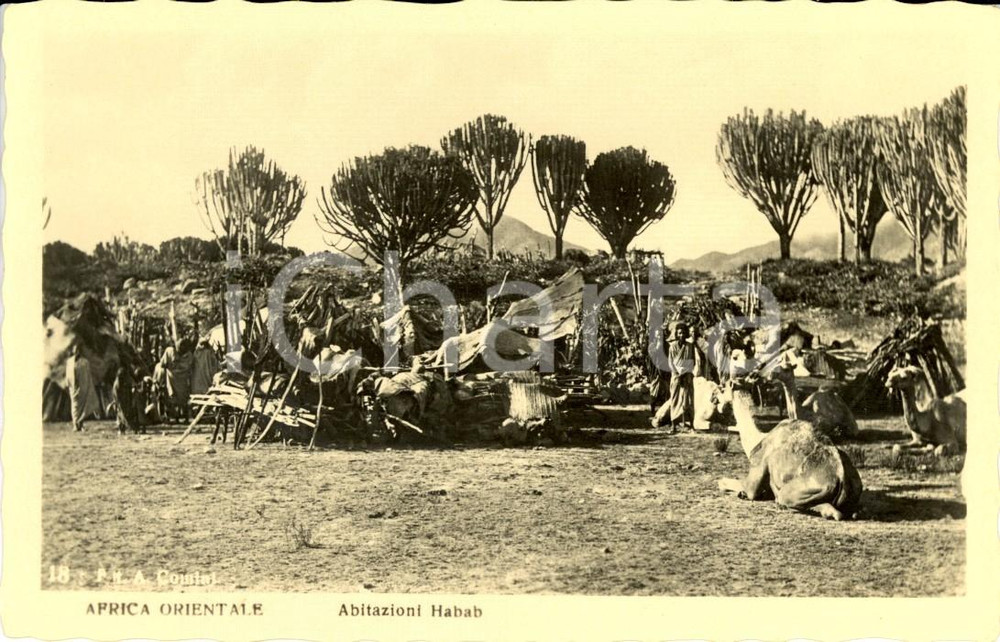 Cartolina originale da collezione 1940 ca ASMARA (ERITREA) AOI COSTUMI Abitazioni HABAB *Cartolina FP NV 1