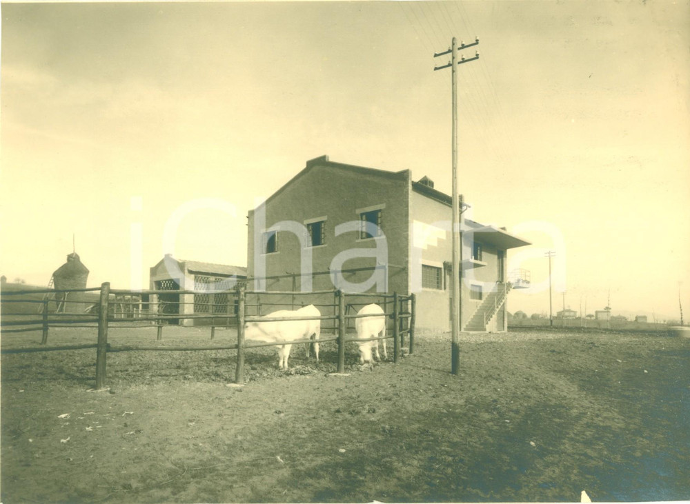 Fotografia d epoca originale 1939 AGRO ROMANO ? Razionalizzazione vecchie case coloniche Fotografia 1