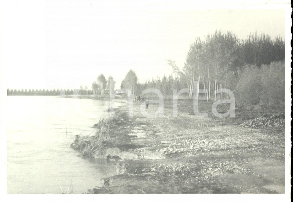 1957 CERVESINA (PV) Tenuta ISOLA - Area fluviale erosa da alluvione - Foto 14x10