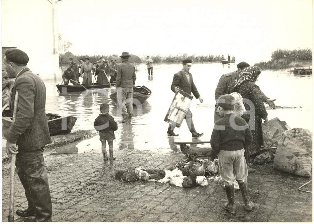 1957 ALLUVIONE POLESINE CAMERINI Sgombero della popolazione alluvionata - Foto