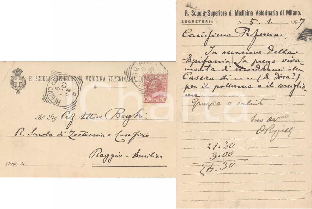 Autografo originale 1907 MILANO Regia Scuola di Medicina Veterinaria *Autografo Oreste PUPILLI 1