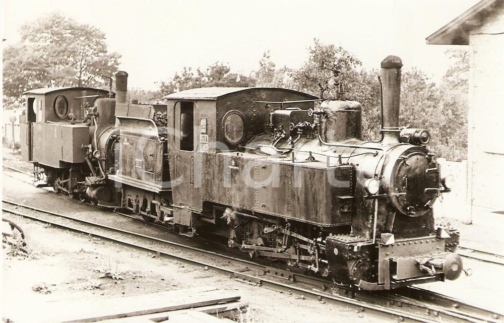 Cartolina originale da collezione 1970 ca WITASZYCE (POLONIA) Locomotiva PKP Tx3-391 rs SF GRIEBL *Cartolina FP NV 1