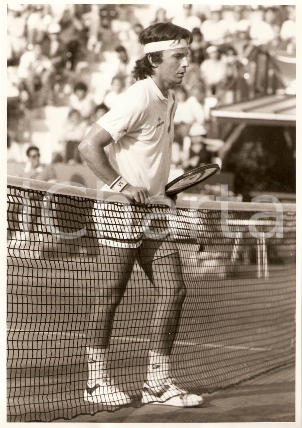 Fotografia d epoca originale 1980 ca SPAGNA Tennis Emilio SANCHEZ si appoggia alla rete Fotografia 1