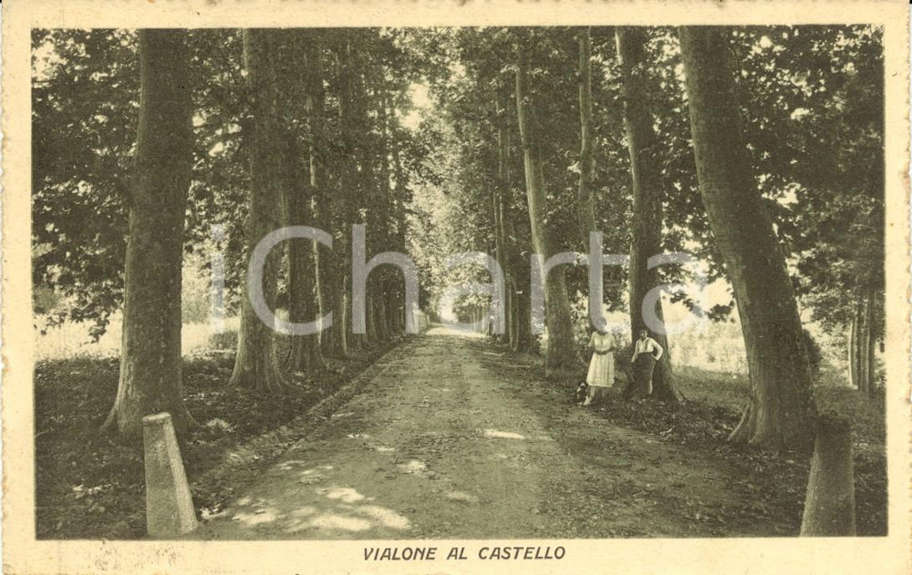 Cartolina originale da collezione 1930 AGRATE CONTURBIA NO Il vialone per il castello Cartolina ANIMATA FP VG 1