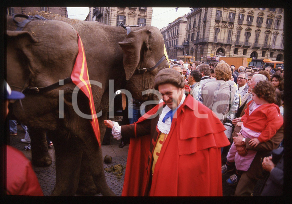 35mm vintage slide* 1988 TORINO - IAN BOTHAM HANNIBAL WALK Gianduia con elefante