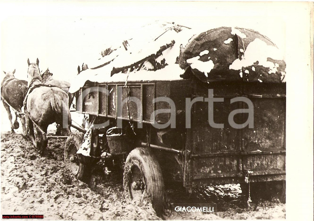 Fotografia d epoca originale 1941 Russia WW2 Eastern Front  Fronte Orientale Photo 1