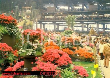 Cartolina originale da collezione 1986 GENOVA Fiera EUROFLORA Esposizione fiori Panorama ANIMATA Vintage Cartolina 1