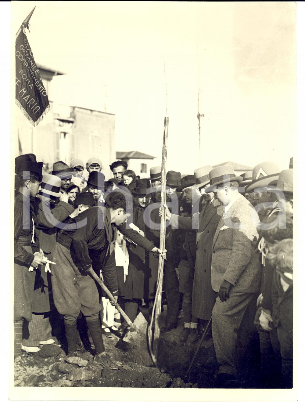 Fotografia d epoca originale 1932 ROMA Festa degli Alberi  Il Fascio Giovanile di MONTE MARIO pianta albero 1