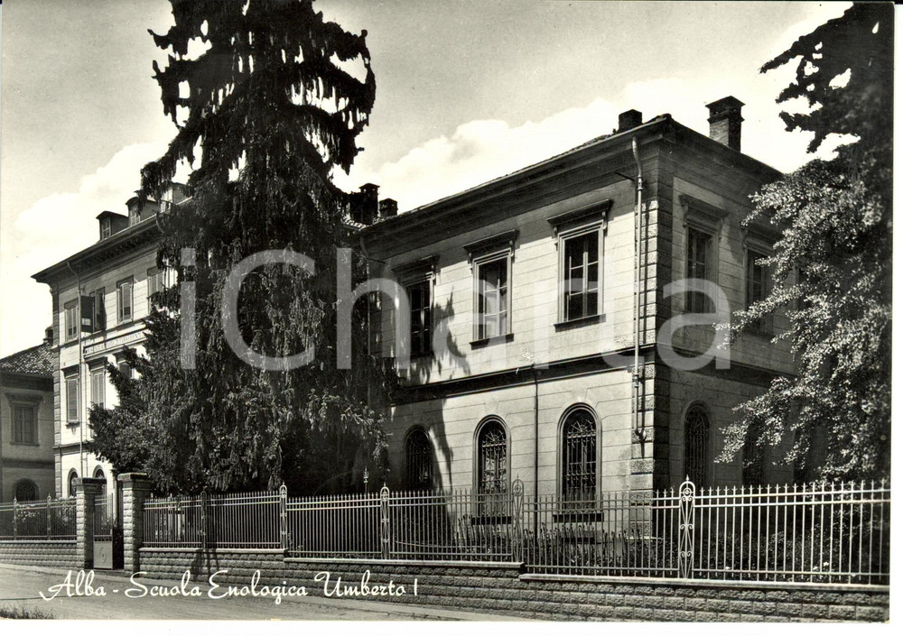 Cartolina originale da collezione 1954 ALBA (CN) Scuola Enologica Umberto I *Cartolina postale FG NV 1