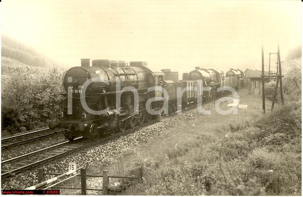 Cartolina originale da collezione 1948 HUNGARY Locomotiva MAV 424.229 OBB, m. Lokzug (52er) - Foto 14x9 cm 1