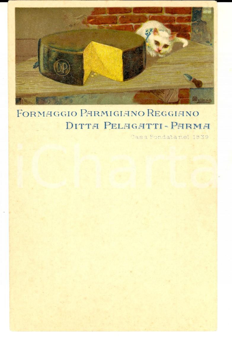 Cartolina originale da collezione 1910 ca PARMA Parmigiano reggiano DITTA PELAGATTI Cartolina FP NV 1