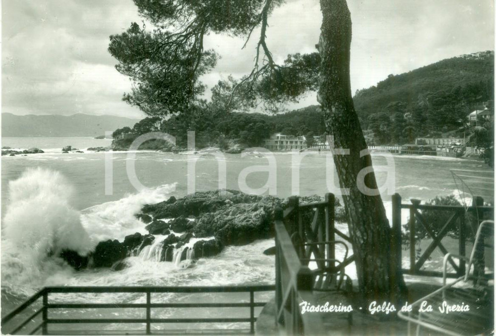 Cartolina originale da collezione 1959 LERICI SP La spiaggia di FIASCHERINO e il golfo Cartolina FG VG 1