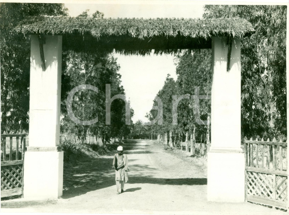 Fotografia d epoca originale 1937 TRIPOLI LIBIA Ingresso di concessione agricola Foto ANIMATA 1