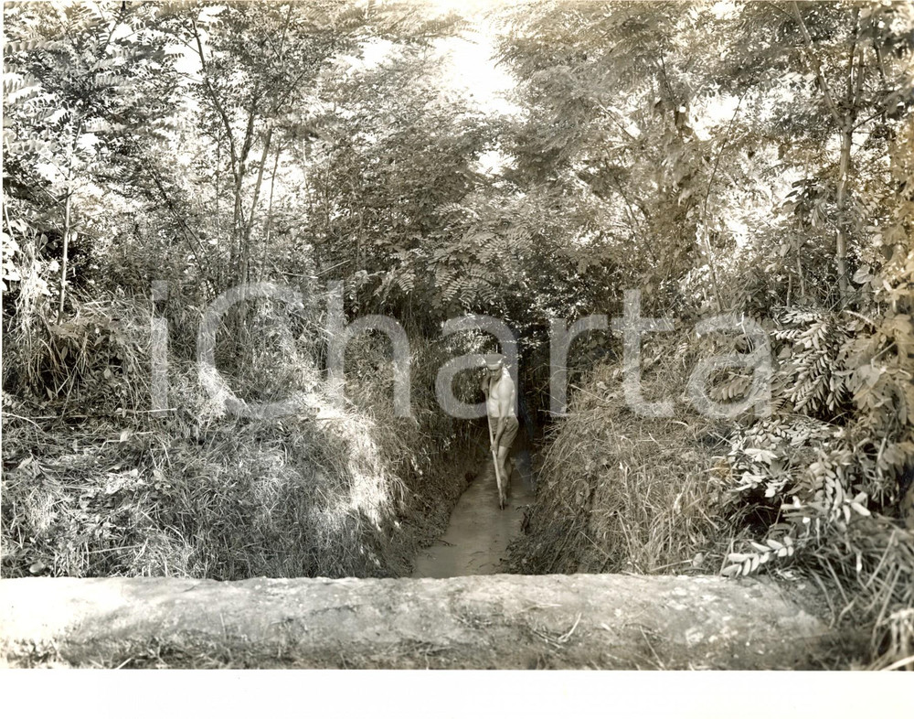 Fotografia d'epoca originale 1960 LUNGAVILLA (PV) Operaio nel torrente LURIA per lavori pulitura *Fotografia 1