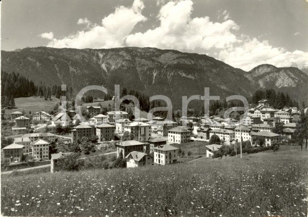 Cartolina originale da collezione 1969 VIGO DI CADORE BL Veduta panoramica del paese Cartolina FG VG 1