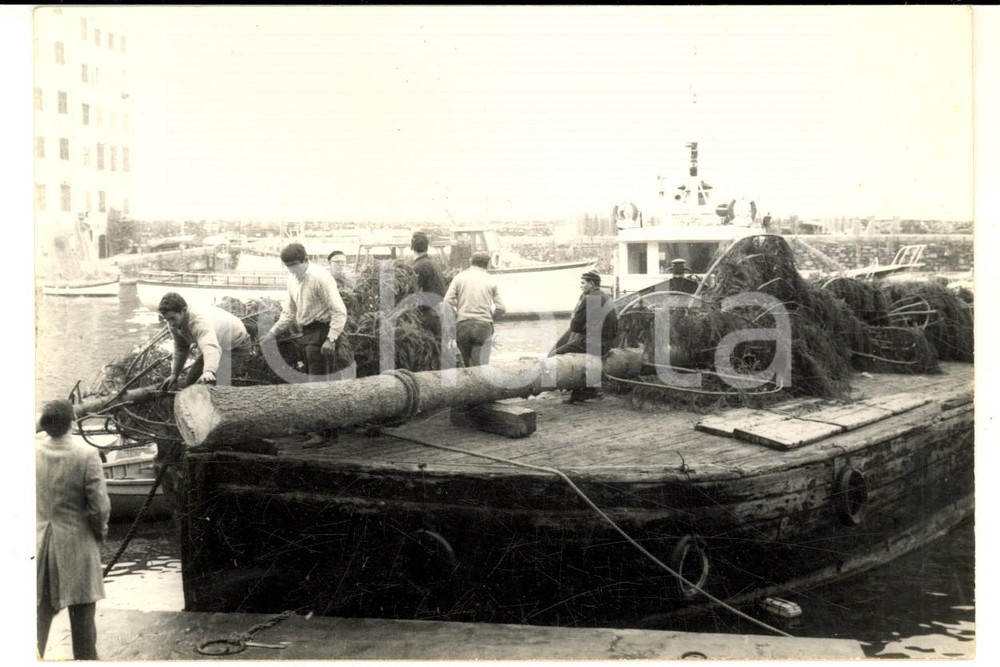 Fotografia d epoca originale 1950 ca CAMOGLI Trasporto di un albero abbattuto Foto VINTAGE 15x10 cm 1