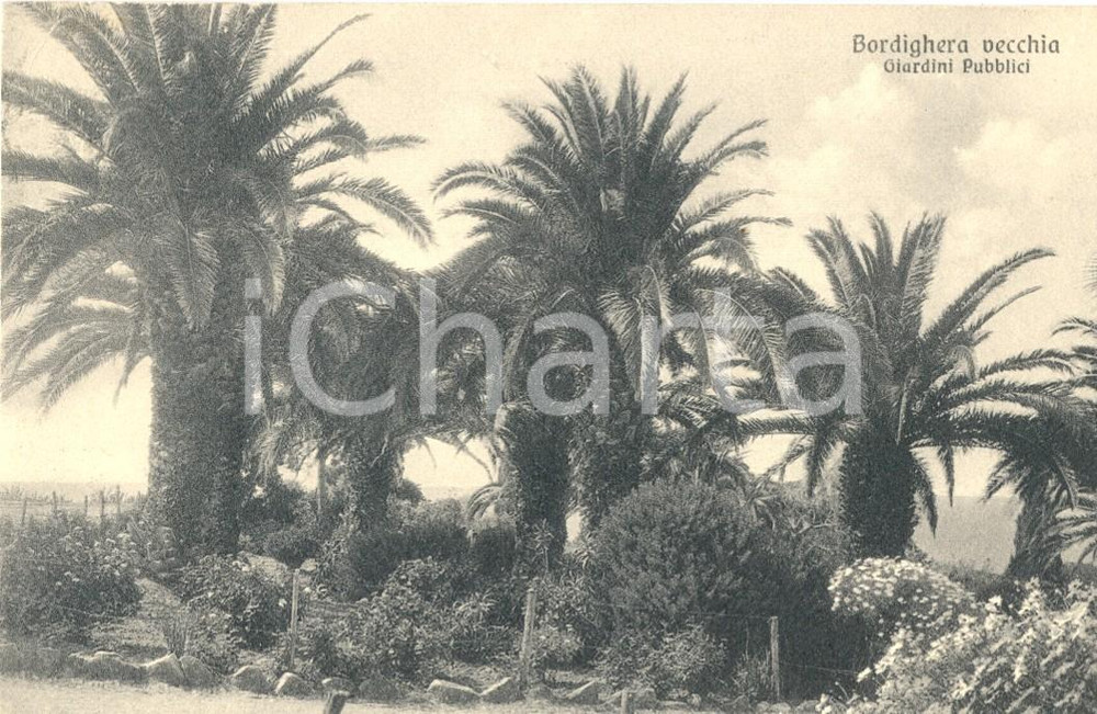 Autografo originale 1930 BORDIGHERA IM Luigi PICCIONI a famiglia RAYNERI PESSANO Cartolina 1