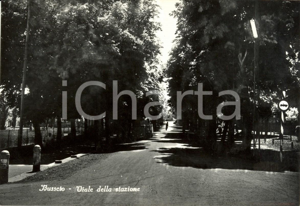 Cartolina originale da collezione 1965 BUSSETO PR Veduta viale della stazione Cartolina postale FG NV 1