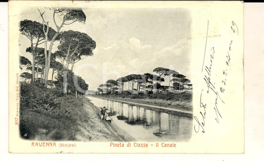 Cartolina originale da collezione 1902 RAVENNA Canale nella pineta di CLASSE Cartolina VINTAGE ANIMATA FP VG 1