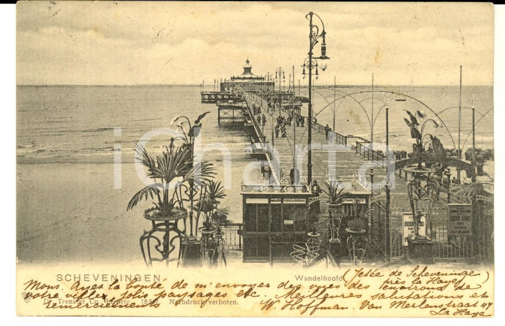 Cartolina originale da collezione 1904 SCHEVENINGEN PAESI BASSI Wandelhoofd Cartolina ANIMATA FP VG 1