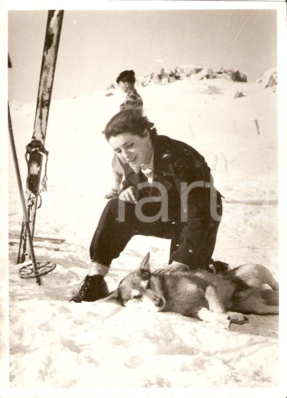 Fotografia d'epoca originale 1939 ARTAVAGGIO (LC) Bambina riposa con cane da slitta 1