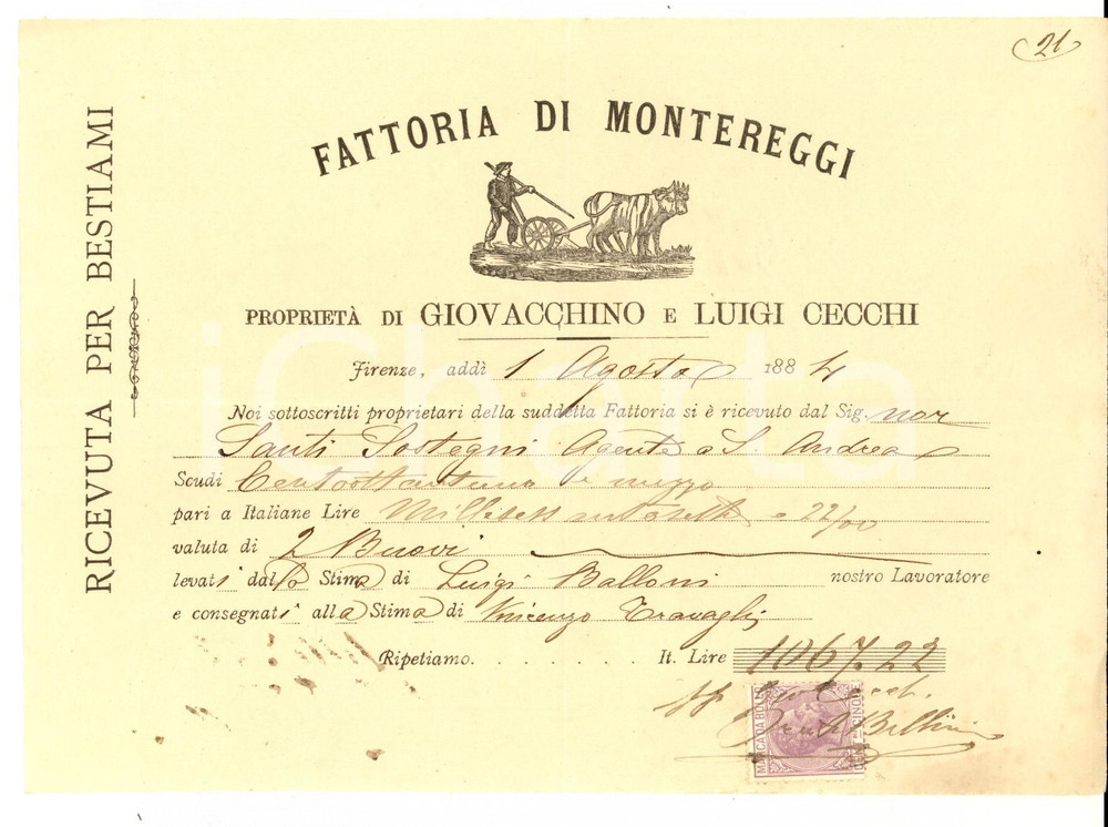 Documento originale, autentico 1884 MONTEREGGI FI Fattoria di Giovacchino e Luigi CECCHI  Ricevuta bestiami 1