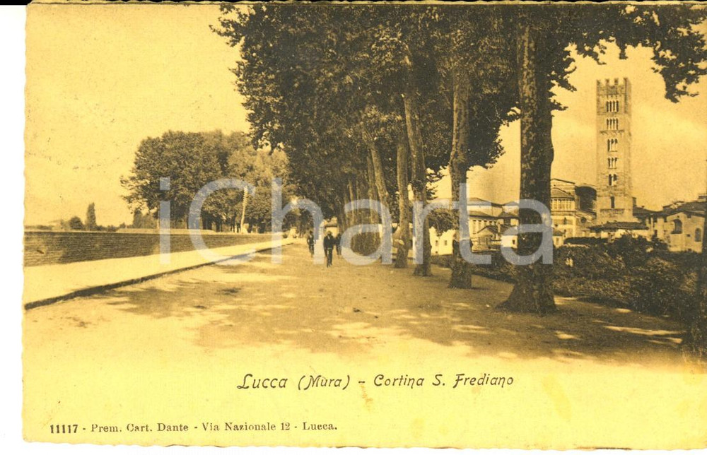Cartolina originale da collezione 1908 LUCCA Cortina SAN FREDIANO *Cartolina A. MARINO a Pericle COPELLI FP VG 1