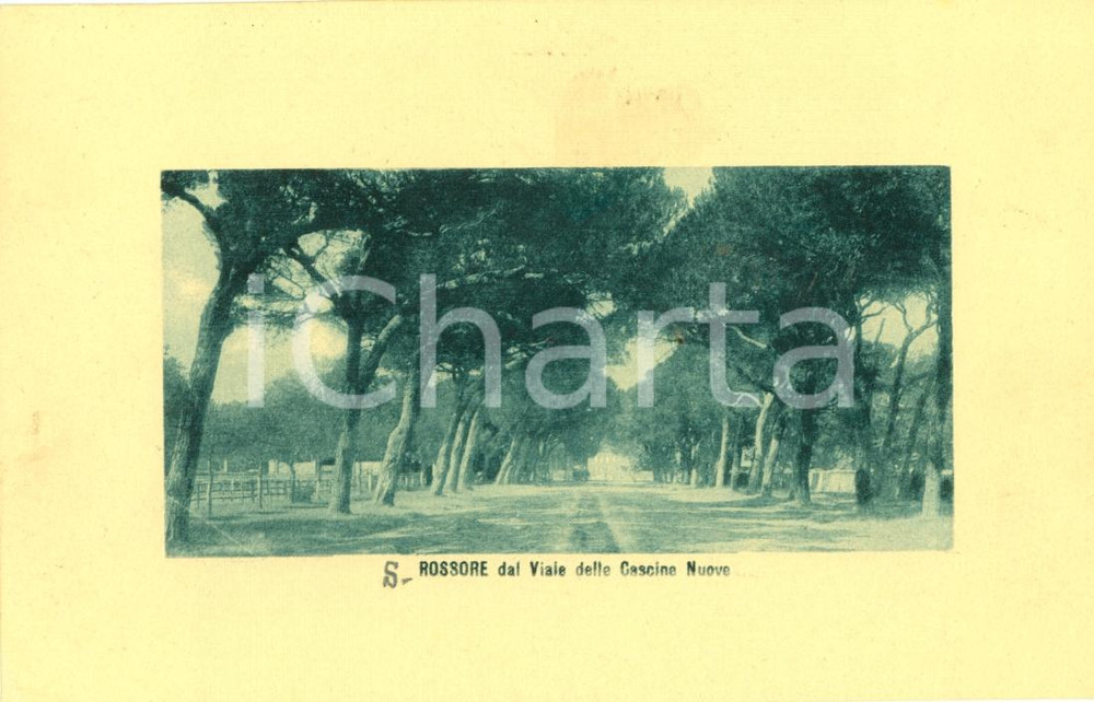 Cartolina originale da collezione 1930 ca FIRENZE Veduta SAN ROSSORE dalle Cascine Nuove Cartolina FP NV 1