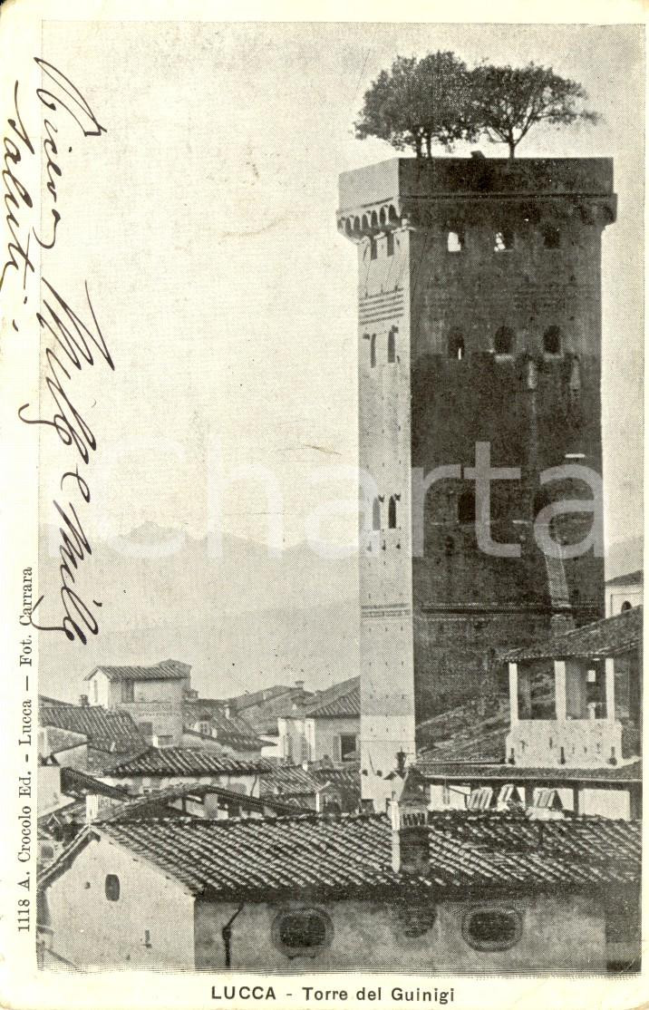 Cartolina originale da collezione 1900 ca LUCCA Veduta della Torre GUINIGI Cartolina postale FP VG 1