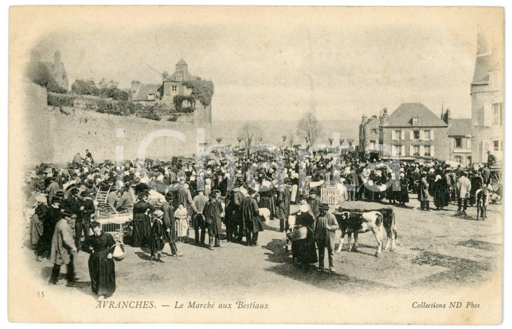 1900 ca AVRANCHES - COUTUMES - Marché aux Bestiaux - Carte postale Cartolina postale d'epoca, non viaggiata.CONDIZIONI: GFORMATO: FP    originale e autentica 1