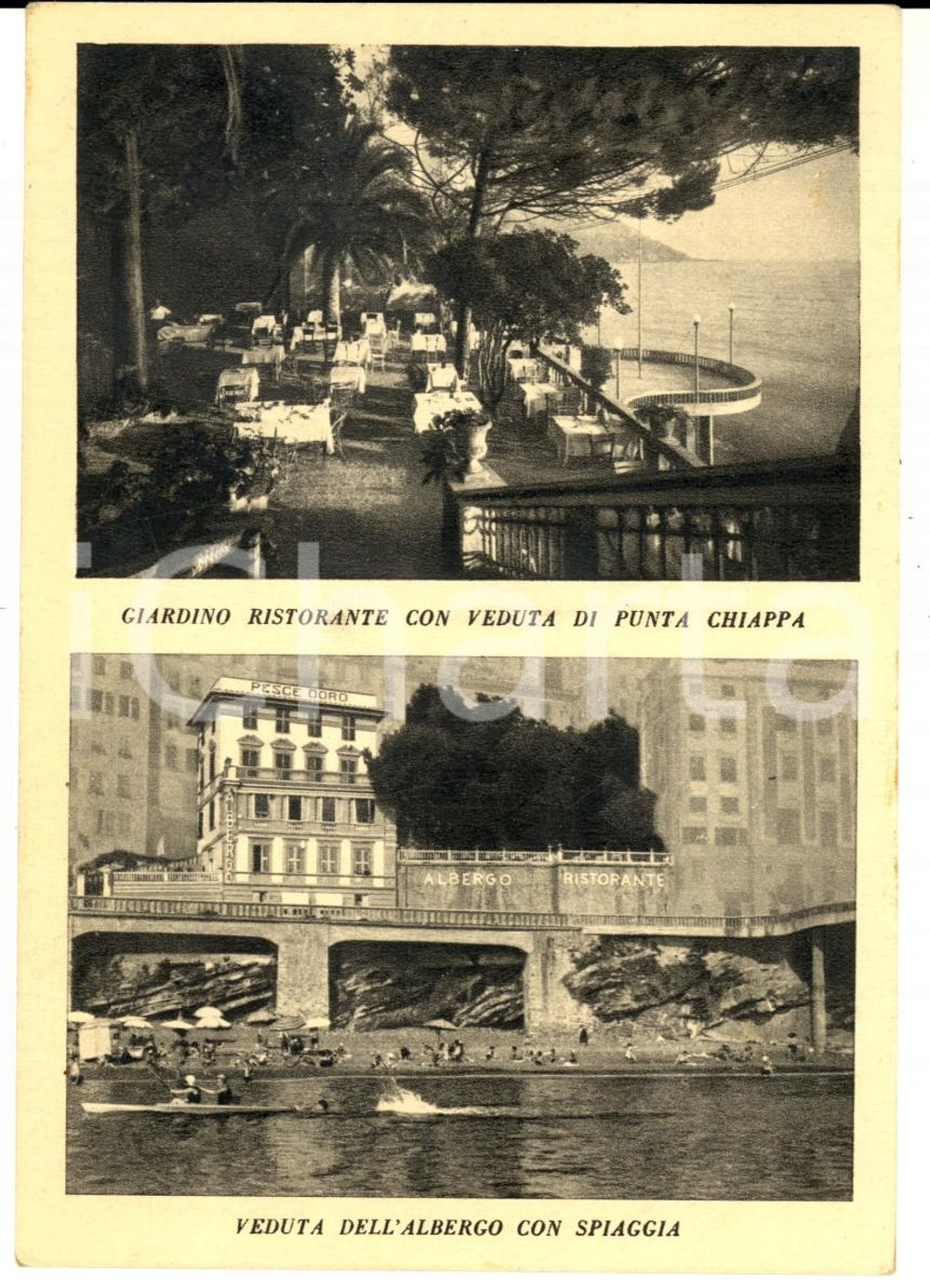 Cartolina originale da collezione 1950 ca CAMOGLI (GE) Punta Chiappa - Albergo ristorante PESCE D'ORO *Cartolina 1
