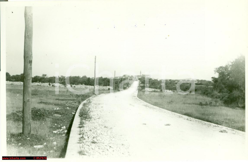Fotografia d epoca originale 1930 SAN LORENZO DEL PASENATICO CROAZIA Nuova strada 1