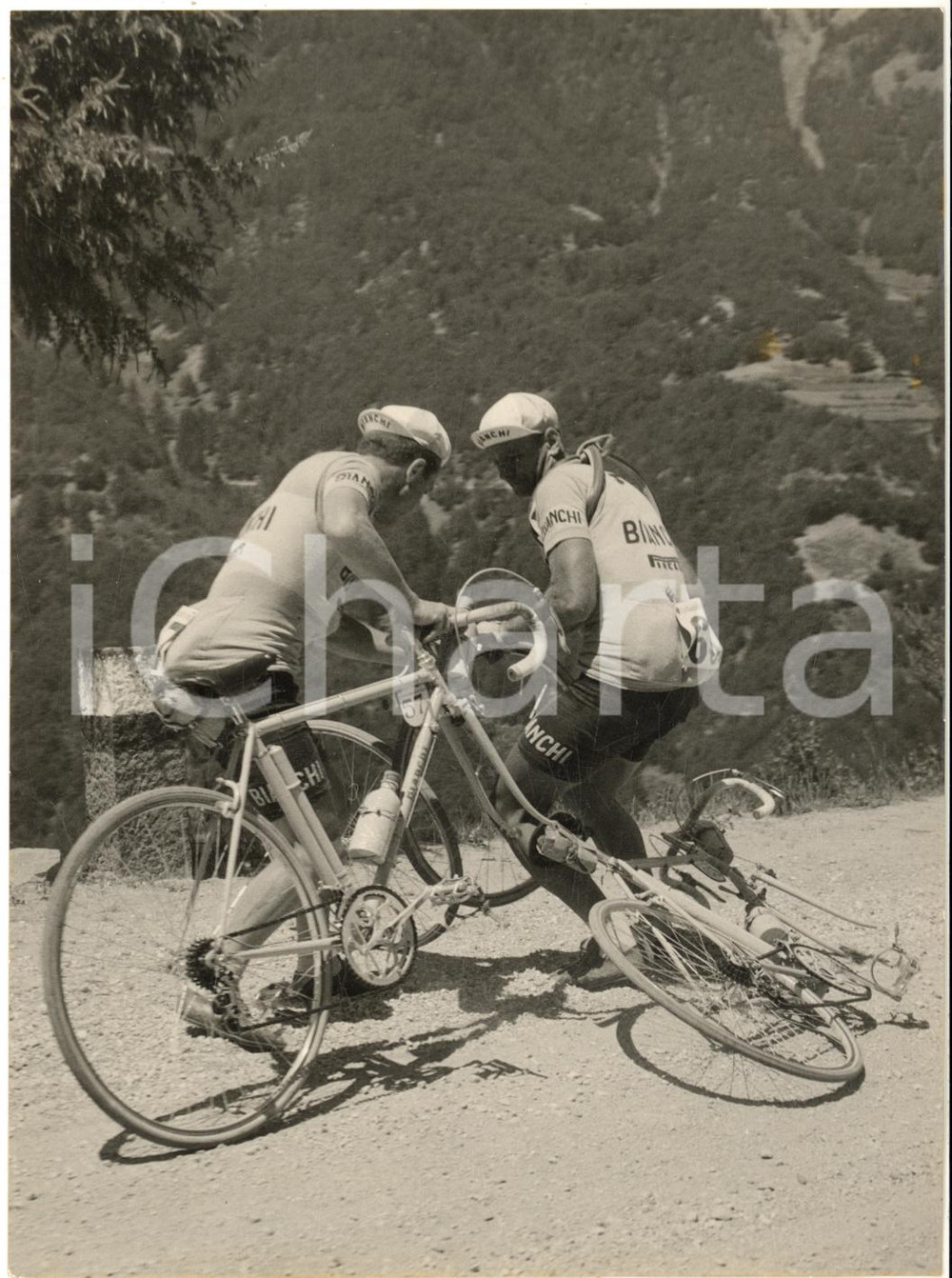 1958 CICLISMO GIRO D'ITALIA Tappa BOLZANO-TRENTO Germano BARALE Gianni FERLENGHI