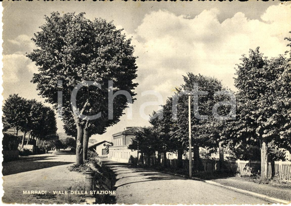 Cartolina originale da collezione 1959 MARRADI FI Viale della stazione Cartolina FG VG 1
