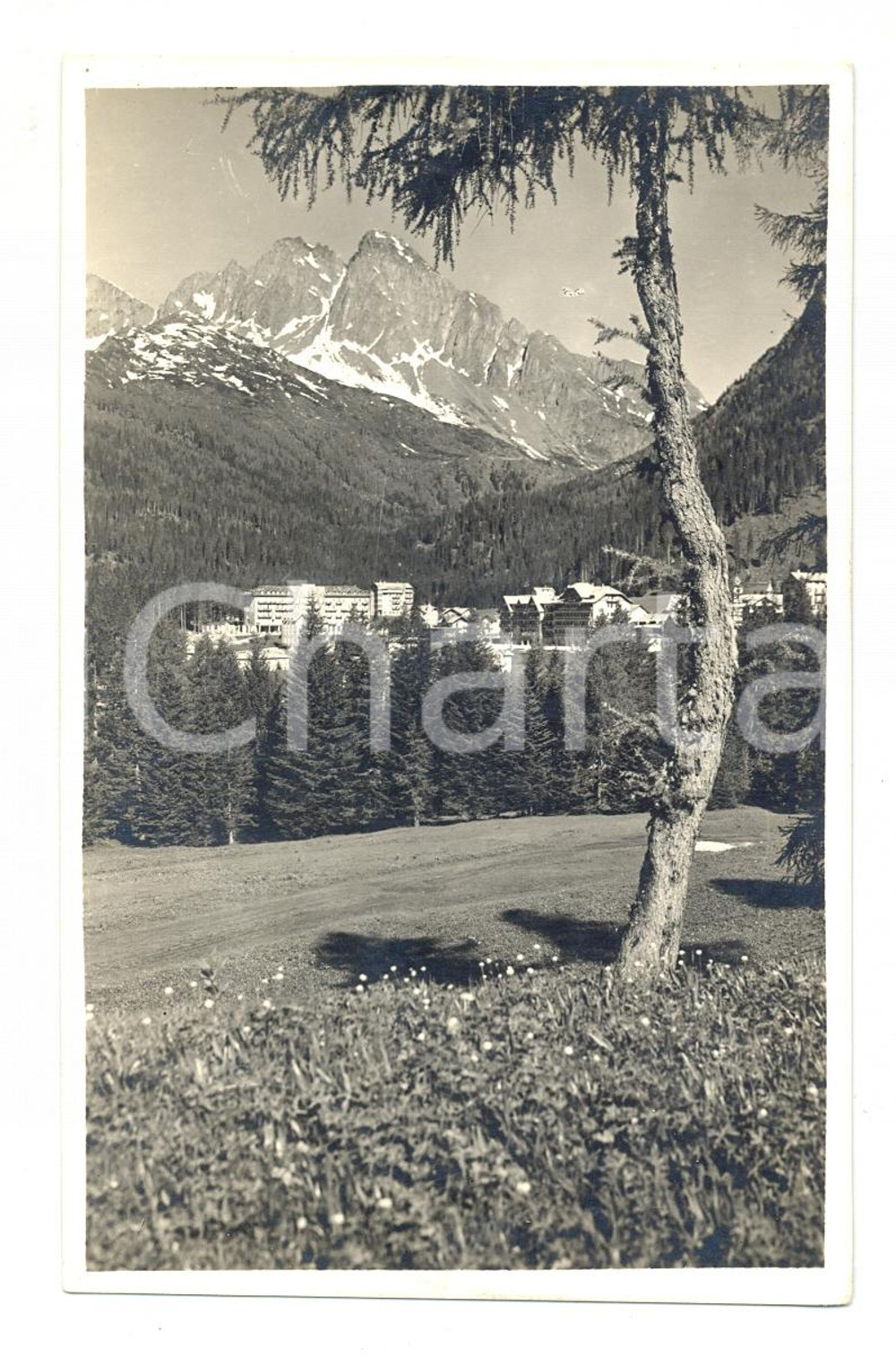 Cartolina originale da collezione 1928 S. Martino di Castrozza, vedutina d'epoca 1