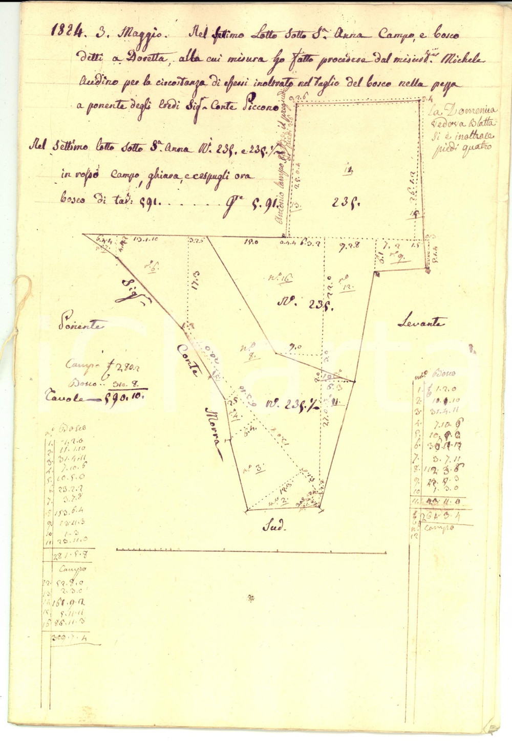 Documento originale, autentico 1824 LAURIANO TO Estimo fondi dei conti MORRA con DISEGNI RARO 1