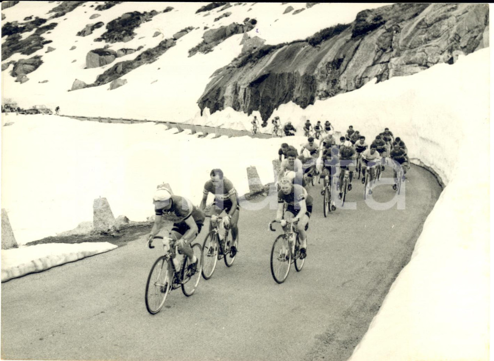 1956 TOUR DE SUISSE Salita al Passo del Grimsel - Jef PLANCKAERT *Foto 18x13