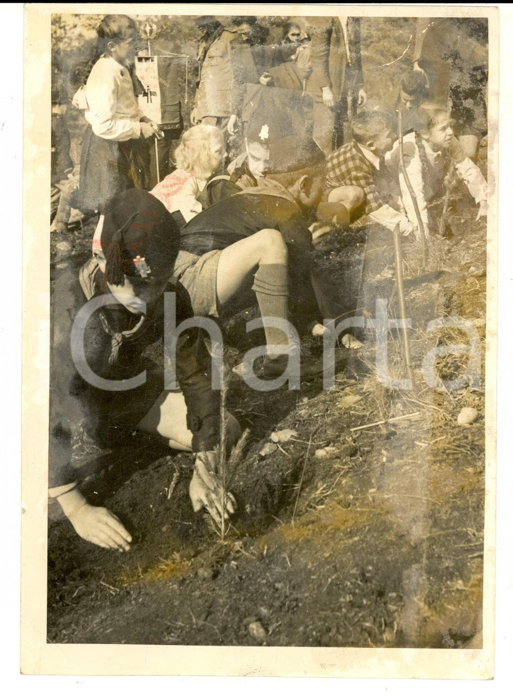 Fotografia d epoca originale 1930 ca MONTE CROCE Balilla alla Festa degli Alberi Foto 13x 18 DANNEGGIATA 1