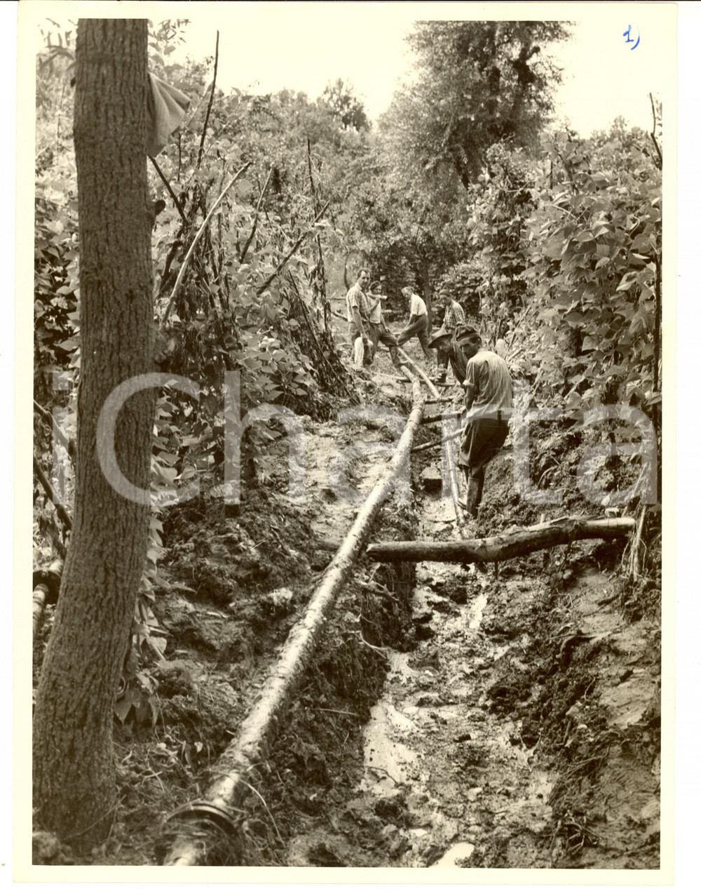 Fotografia d epoca originale 1960 ca SAGLIANO PV Lavori in un terreno danneggiato dal maltempo Fotografia 1