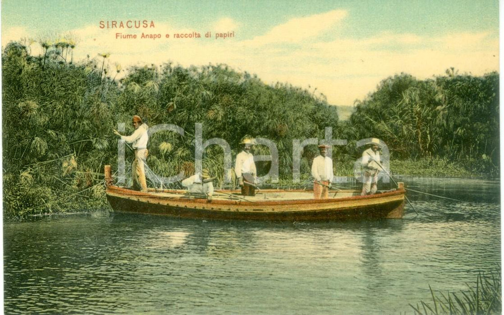 Cartolina originale da collezione 1935 ac SIRACUSA Raccolta di papiri sul fiume ANAPO *Cartolina FP NV 1