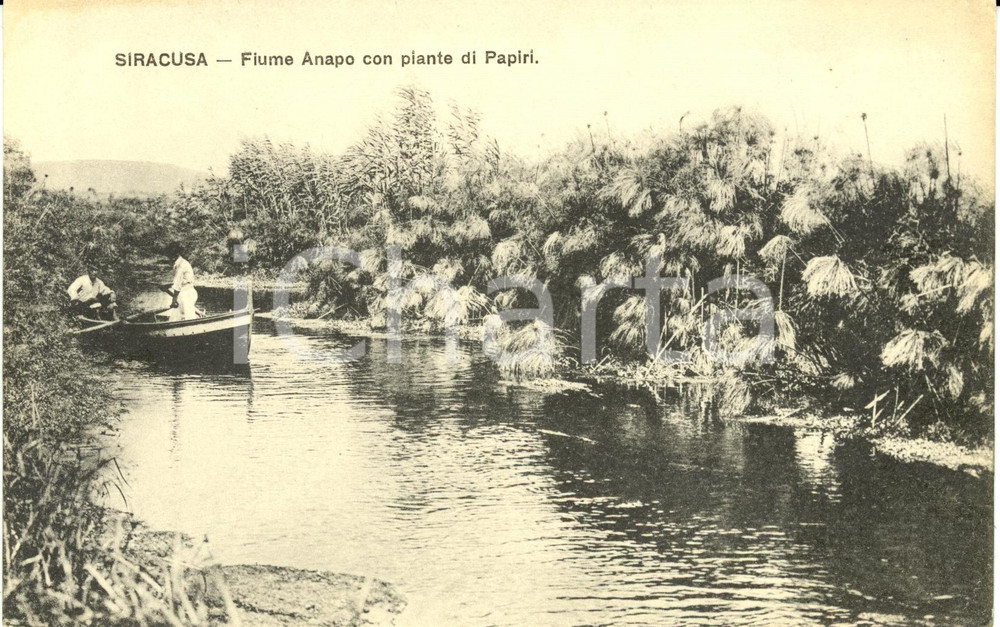 Cartolina originale da collezione 1915 ca SIRACUSA Fiume ANAPO con piante di papiri Cartolina FP NV ANIMATA 1