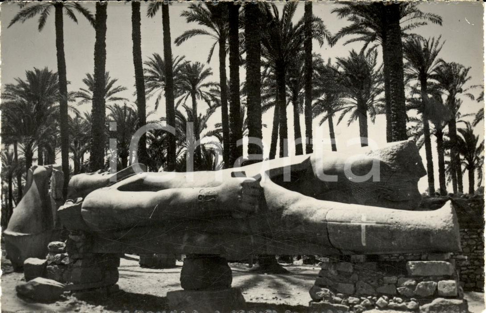 Cartolina originale da collezione 1930 ca MEMPHIS EGITTO Il colosso di RAMSES II Cartolina 1
